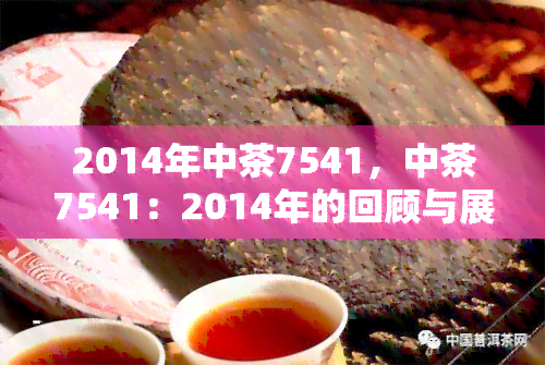 2014年中茶7541，中茶7541：2014年的回顾与展望