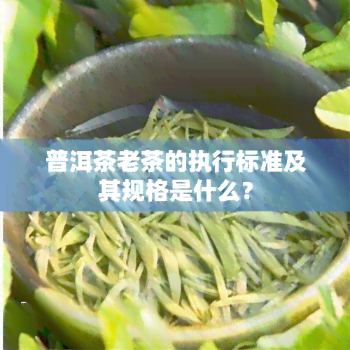 普洱茶老茶的执行标准及其规格是什么？