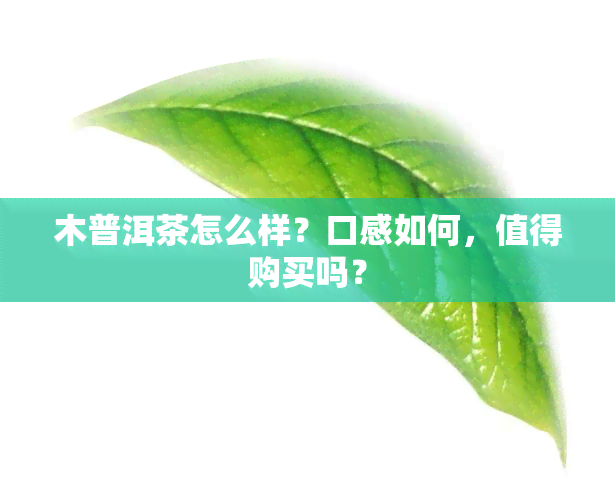 木普洱茶怎么样？口感如何，值得购买吗？