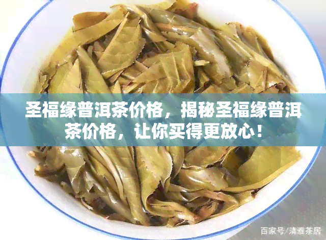 圣福缘普洱茶价格，揭秘圣福缘普洱茶价格，让你买得更放心！