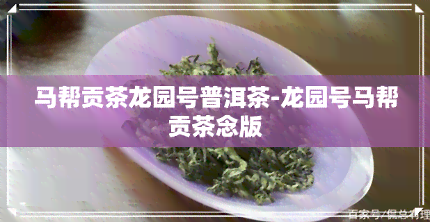 马帮贡茶龙园号普洱茶-龙园号马帮贡茶念版