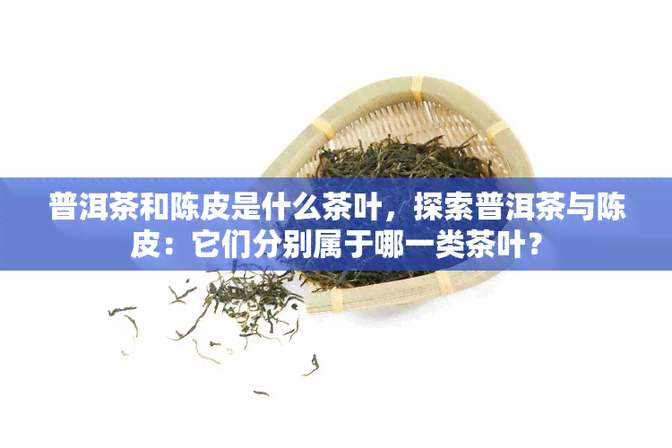 普洱茶和陈皮是什么茶叶，探索普洱茶与陈皮：它们分别属于哪一类茶叶？