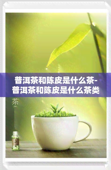 普洱茶和陈皮是什么茶-普洱茶和陈皮是什么茶类