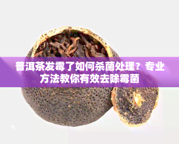 普洱茶发霉了如何杀菌处理？专业方法教你有效去除霉菌