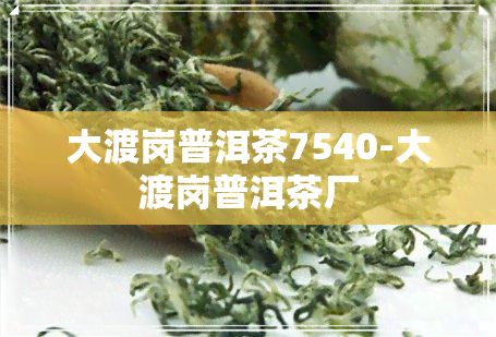 大渡岗普洱茶7540-大渡岗普洱茶厂