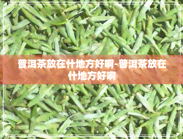 普洱茶放在什地方好啊-普洱茶放在什地方好啊