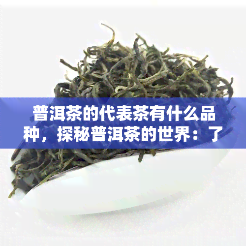 普洱茶的代表茶有什么品种，探秘普洱茶的世界：了解其代表茶品种