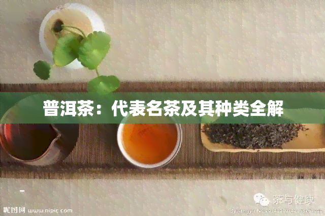 普洱茶：代表名茶及其种类全解