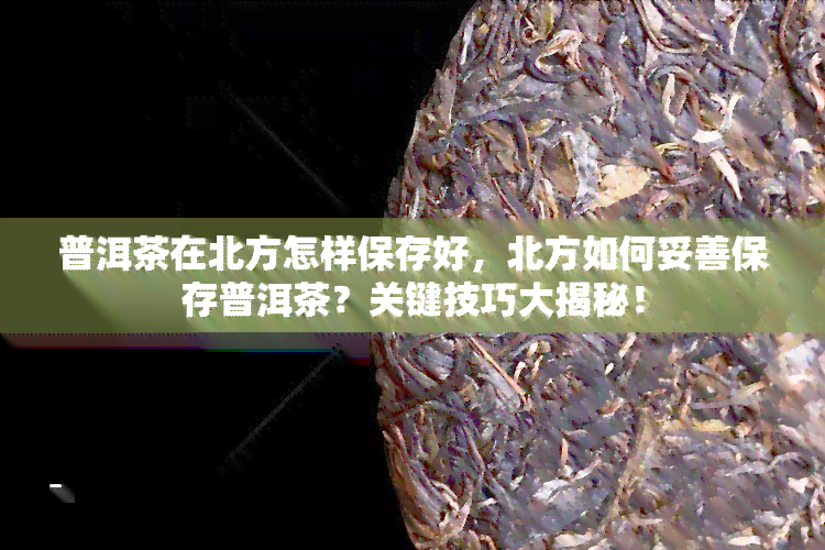 普洱茶在北方怎样保存好，北方如何妥善保存普洱茶？关键技巧大揭秘！