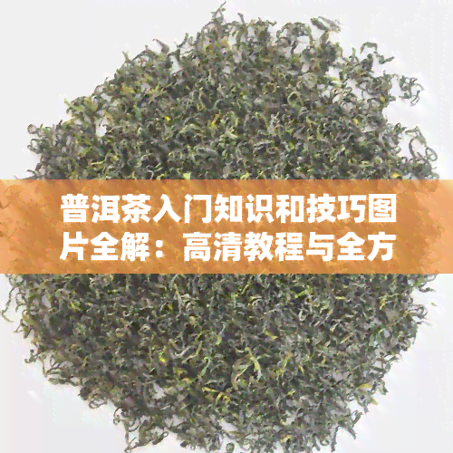 普洱茶入门知识和技巧图片全解：高清教程与全方位指南