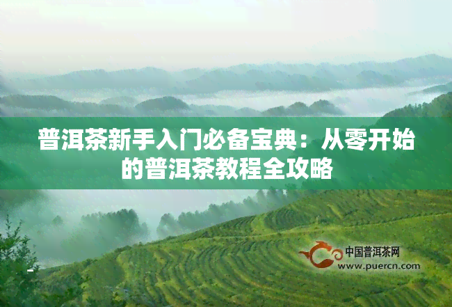 普洱茶新手入门必备宝典：从零开始的普洱茶教程全攻略