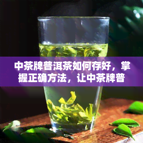 中茶牌普洱茶如何存好，掌握正确方法，让中茶牌普洱茶口感更佳：存技巧大揭秘！