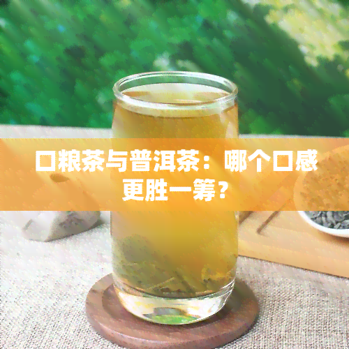 口粮茶与普洱茶：哪个口感更胜一筹？