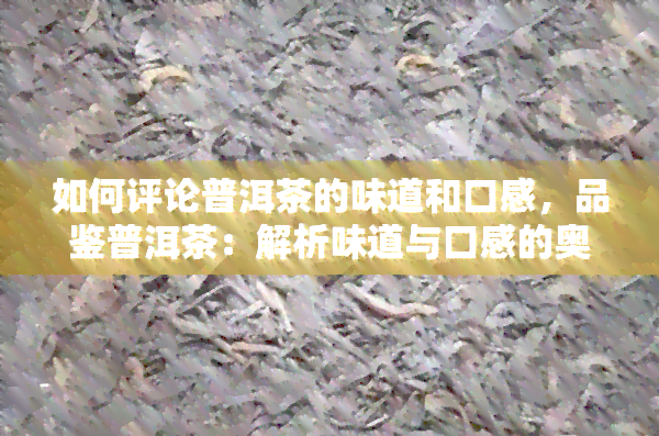 如何评论普洱茶的味道和口感，品鉴普洱茶：解析味道与口感的奥秘