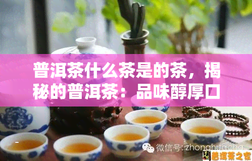 普洱茶什么茶是的茶，揭秘的普洱茶：品味醇厚口感与独特香气