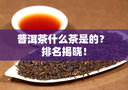 普洱茶什么茶是的？ 排名揭晓！