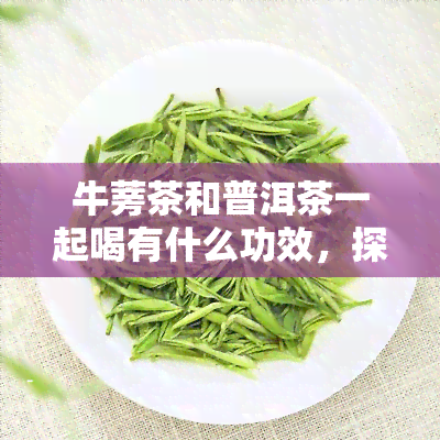 牛蒡茶和普洱茶一起喝有什么功效，探索牛蒡茶与普洱茶的神奇组合：它们在一起喝有何功效？