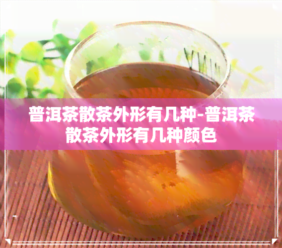 普洱茶散茶外形有几种-普洱茶散茶外形有几种颜色