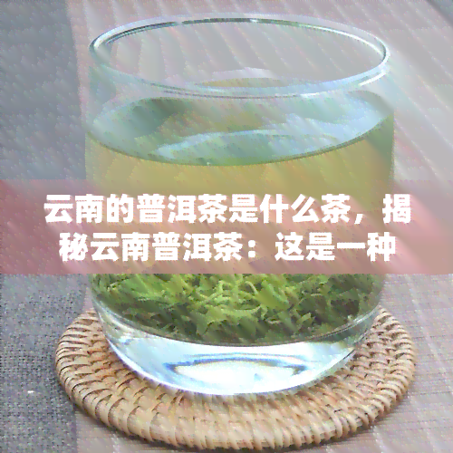 云南的普洱茶是什么茶，揭秘云南普洱茶：这是一种什么样的茶？