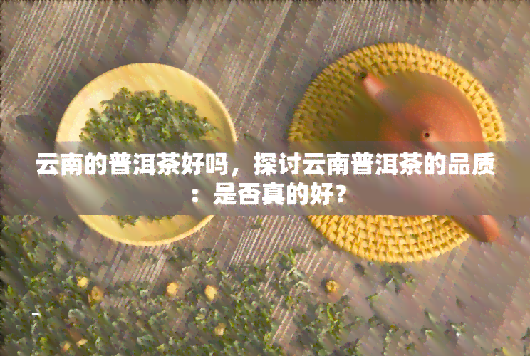 云南的普洱茶好吗，探讨云南普洱茶的品质：是否真的好？