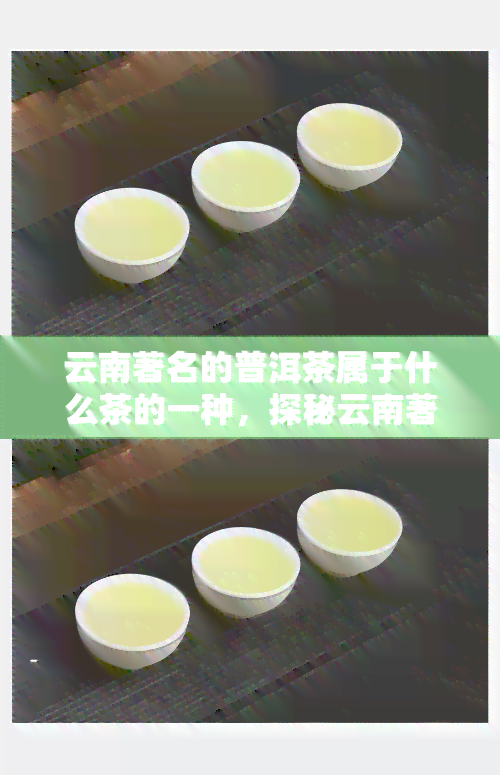 云南著名的普洱茶属于什么茶的一种，探秘云南著名普洱茶：它属于哪一类茶叶？