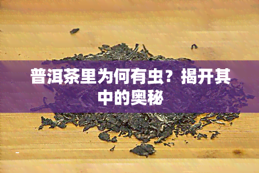 普洱茶里为何有虫？揭开其中的奥秘