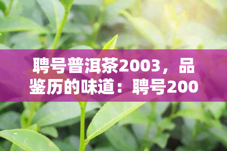 聘号普洱茶2003，品鉴历的味道：聘号2003普洱茶的魅力