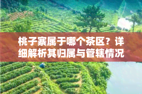 桃子寨属于哪个茶区？详细解析其归属与管辖情况