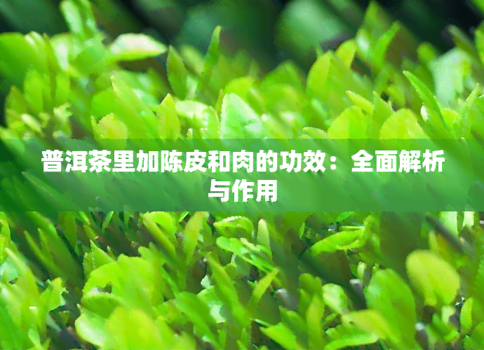 普洱茶里加陈皮和肉的功效：全面解析与作用