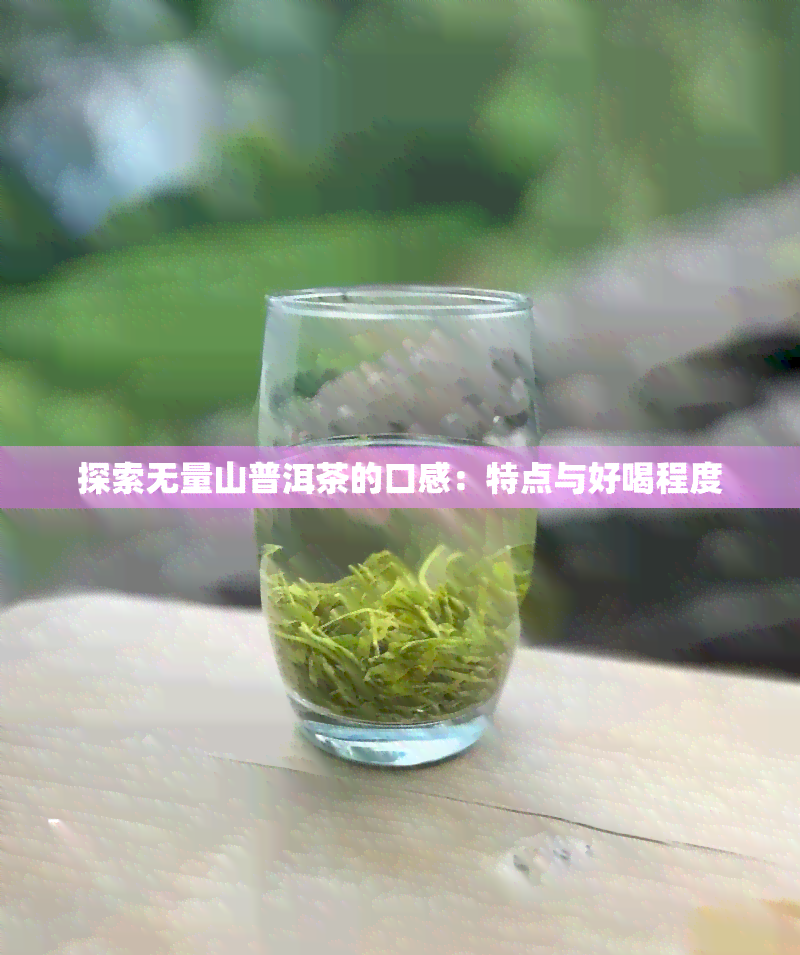 探索无量山普洱茶的口感：特点与好喝程度