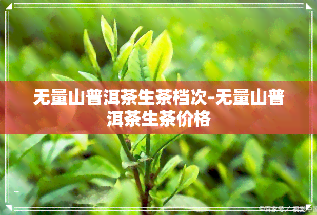 无量山普洱茶生茶档次-无量山普洱茶生茶价格