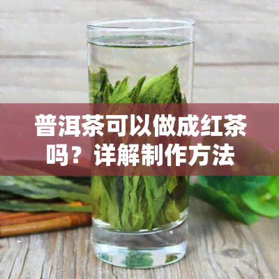 普洱茶可以做成红茶吗？详解制作方法