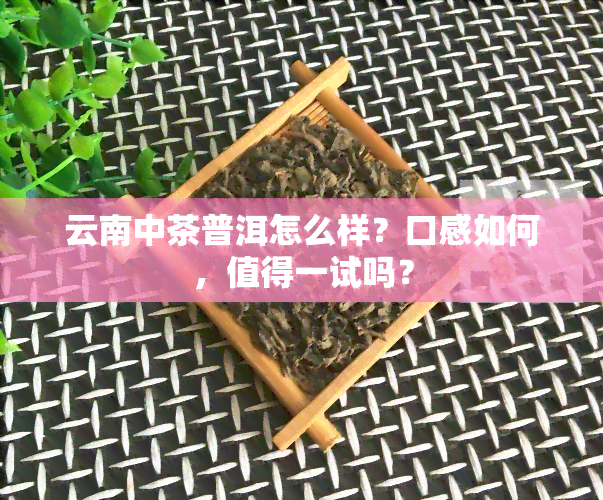 云南中茶普洱怎么样？口感如何，值得一试吗？