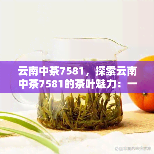 云南中茶7581，探索云南中茶7581的茶叶魅力：一种深受喜爱的普洱茶