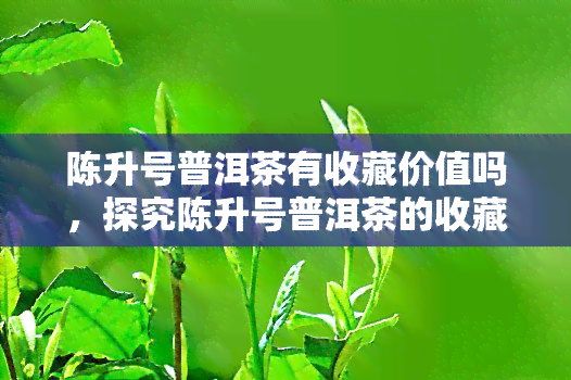 陈升号普洱茶有收藏价值吗，探究陈升号普洱茶的收藏价值，你是否该入手？