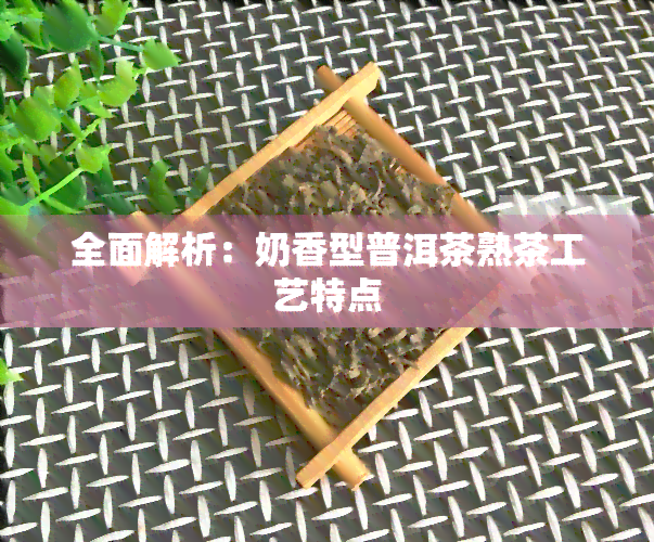 全面解析：奶香型普洱茶熟茶工艺特点