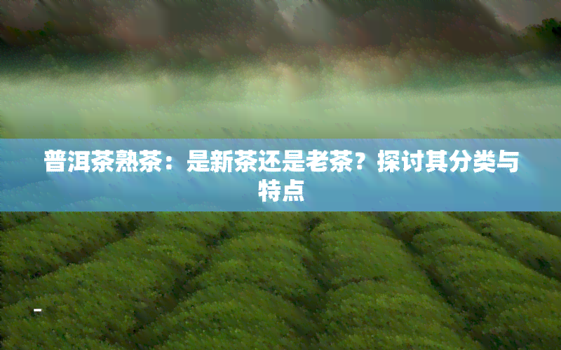 普洱茶熟茶：是新茶还是老茶？探讨其分类与特点