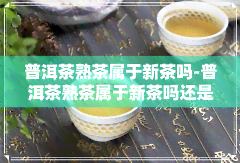 普洱茶熟茶属于新茶吗-普洱茶熟茶属于新茶吗还是陈茶