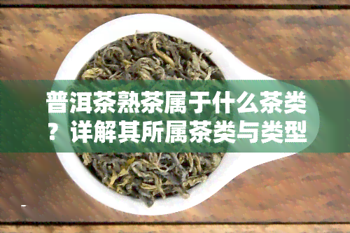 普洱茶熟茶属于什么茶类？详解其所属茶类与类型