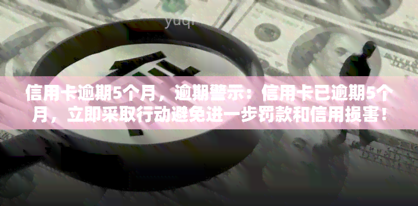 信用卡逾期5个月，逾期警示：信用卡已逾期5个月，立即采取行动避免进一步罚款和信用损害！