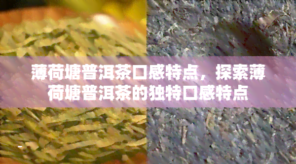 薄荷塘普洱茶口感特点，探索薄荷塘普洱茶的独特口感特点