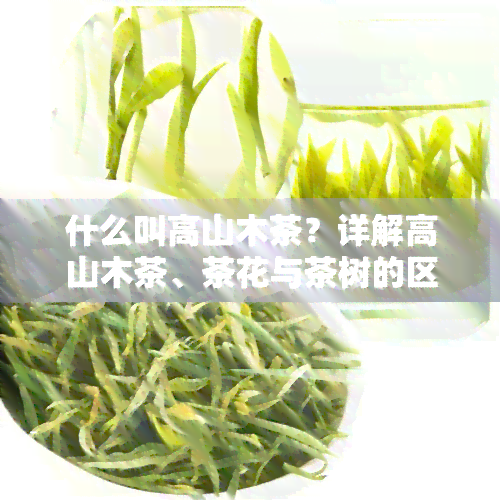 什么叫高山木茶？详解高山木茶、茶花与茶树的区别