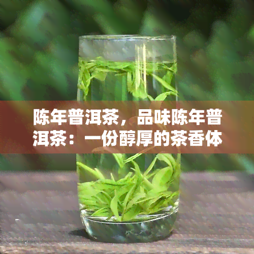 陈年普洱茶，品味陈年普洱茶：一份醇厚的茶香体验