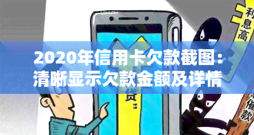 2020年信用卡欠款截图：清晰显示欠款金额及详情