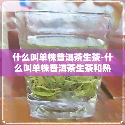 什么叫单株普洱茶生茶-什么叫单株普洱茶生茶和熟茶