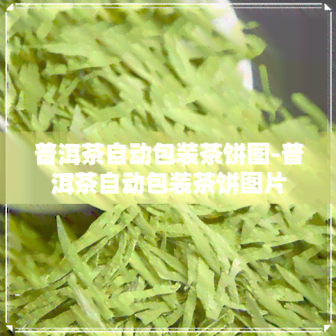 普洱茶自动包装茶饼图-普洱茶自动包装茶饼图片