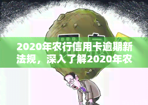 2020年农行信用卡逾期新法规，深入了解2020年农行信用卡逾期新法规