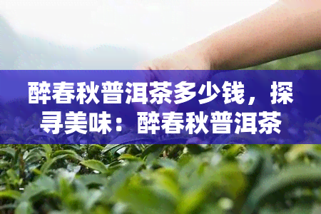 醉春秋普洱茶多少钱，探寻美味：醉春秋普洱茶的价格解析