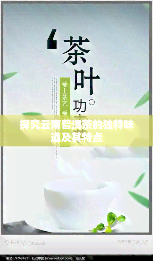 探究云南普洱茶的独特味道及其特点