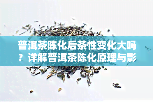 普洱茶陈化后茶性变化大吗？详解普洱茶陈化原理与影响因素